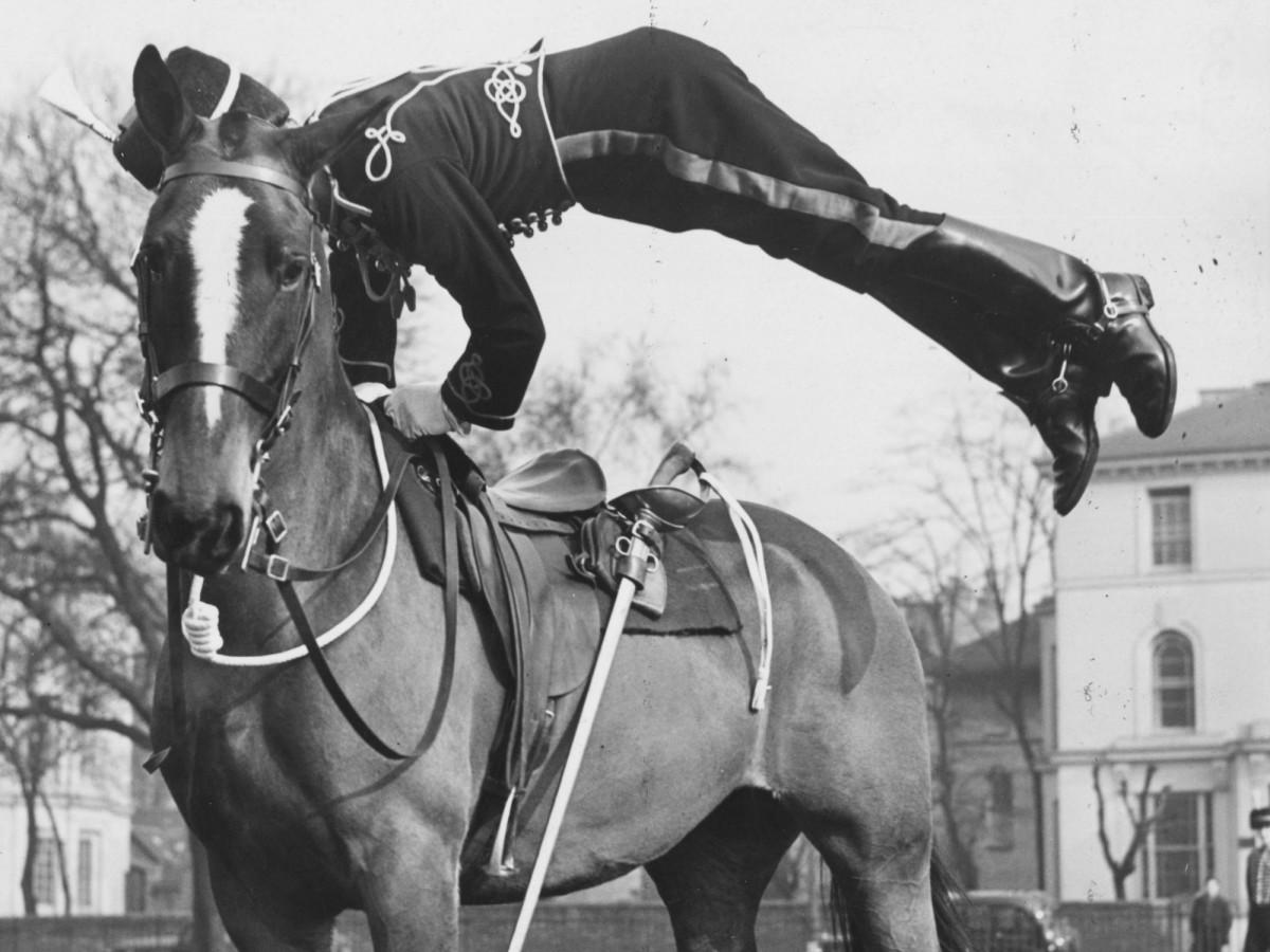 equestrian-vaulting.jpg